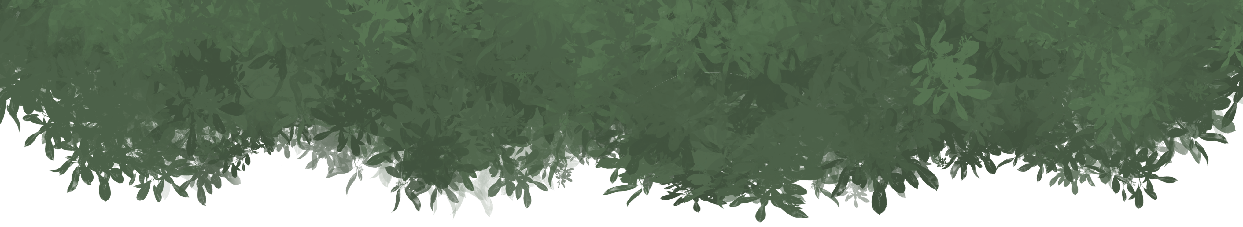 Tree Leaves hanging down behind website header.