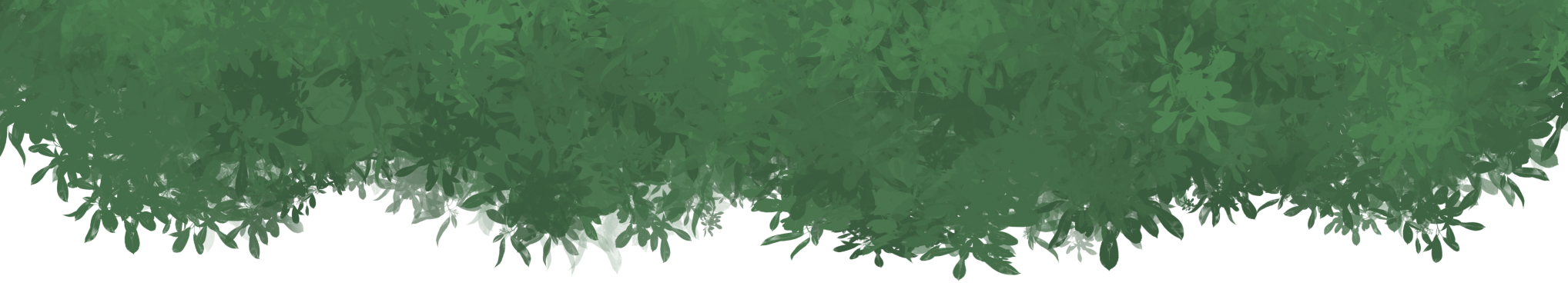 Tree Leaves hanging down behind website header.